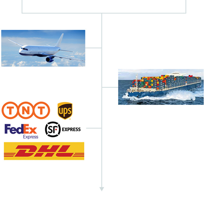 Pneumatic Mini Air Lubricator Manufacturer