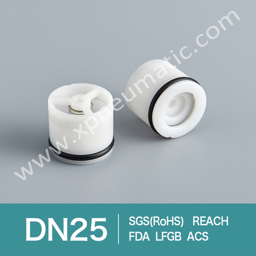 Non Back Flow Shower Check Valve Dn14