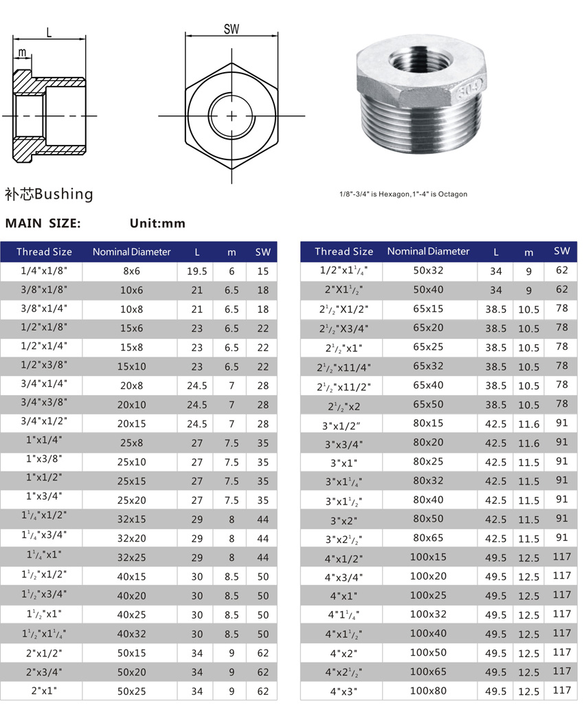 Stainless Steel Screw Pipe Plug Supplier