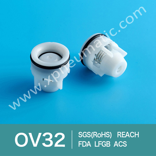 Plastic Miniature Style Plastic Check Valve Dn25