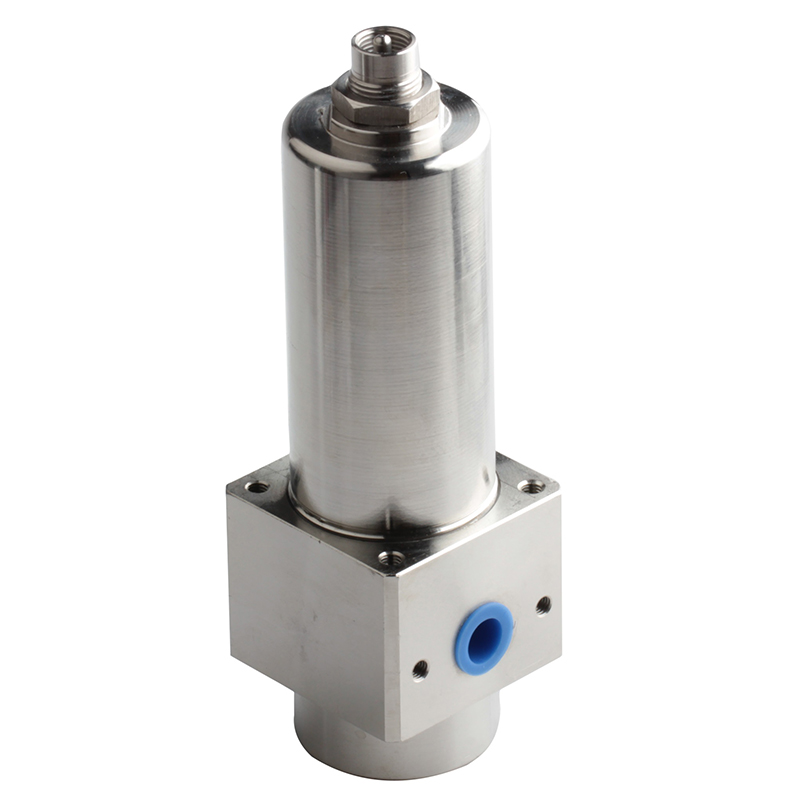 Stainless steel SS316L air filter (3)