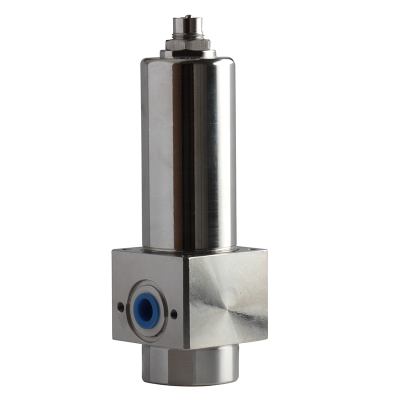 Stainless steel SS316L air filter (5)