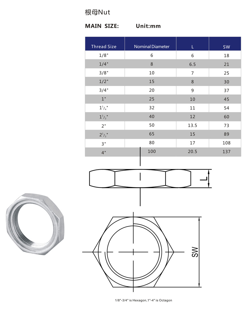 Stainless Steel Nut Pipe Fitting Supplier