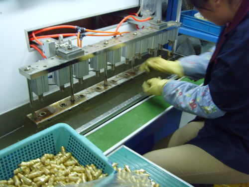 Y Union Gray Color Plastic Push in Fitting