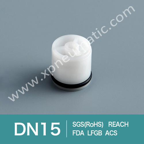 Back Flow Safety Valve Dn13